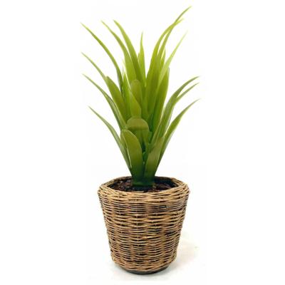 Planten/bloemen mand - rond - rotan - gevlochten riet - D32 x H29 cm - drypot