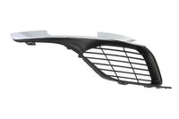 Ventilatiegrille, bumper 6502075519916PP