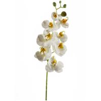 Emerald Kunstbloem Orchidee - 68 cm - wit - losse tak - kunst zijdebloem - Phalaenopsis   - - thumbnail