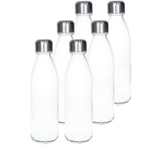 Waterfles/drinkfles - 6x - transparant - met RVS dop - 650 ml - glas - Sportfles - Bidon