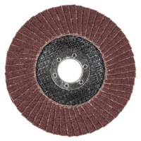 Wolfcraft Slijpmopschijf | Korund | K40 | Ø125 x 22mm | 1 stuk - 8425000