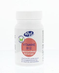 Idyl Vitamine B12 (90 tab)