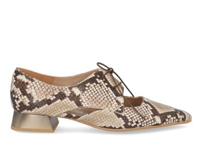 Hispanitas Dali 253858 snake taupe multi bruin maat 37
