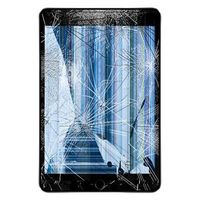 iPad Mini 4 LCD en Touchscreen Reparatie - Zwart - Grade A