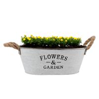 DK Design plantenpot/bloempot teil Jardin- zink - wit - L30 x D20 x H12 cm   -