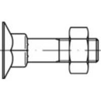 TOOLCRAFT 111753 Verzonken schroeven met vierkante hals M10 50 mm Buitenzeskant DIN 605 Staal 100 stuk(s)