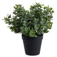 Eucalyptus Kunstplant - in pot - groen - H28 cm