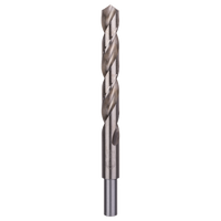 Bosch Accessoires Metaalboor HSS-G | 13X101X151mm | DIN 338 - 2609255059