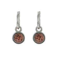 Biba Hang Oorbellen met Swarovski Steentje Blush Rose Biba Hang Oorbellen met Swarovski Steentje Blush Rose