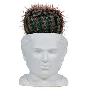 UPG Planter - Frida Kahlo
UPG Planter - Frida Kahlo