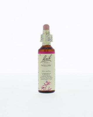 Bach Willow/wilg