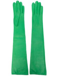 Manokhi gants longs en cuir - Vert