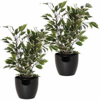 2x stuks groen/witte ficus kunstplanten 40 cm met plantenpot zwart D13.5 en H12.5 cm - thumbnail