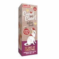 CUPID & COMET 12 DAYS OF CHRISTMAS