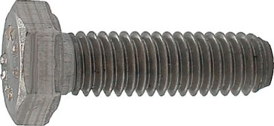 Bout rvs zeskante kop m16x120