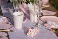 Santex Rozen Roze Santex Rozen Roze