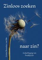 Zinloos zoeken naar zin? (Paperback)