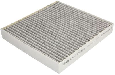 Interieurfilter koolstof CUK22321