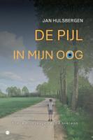 De pijl in mijn oog (Paperback)
