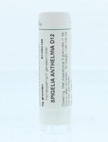 Homeoden Heel Spigelia anthelmia D12 6 Gram