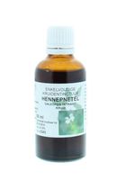 Natura Sanat Galeopsis tetrahit herb / hennepnetel tinctuur (50 ml) - thumbnail