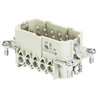 Wieland Electric 70.312.1040.0 Stekker inzetstuk Totaal aantal polen 10 10 stuk(s)