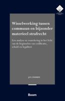 Wisselwerking tussen commuun en bijzonder materieel strafrecht (Paperback)