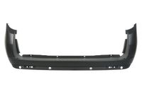 Bumper 5506002043953Q