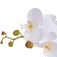 The Living Store Orchidee Decoratieve Kunstplant - 75 cm - Realistische Uitstraling - 9 Bladeren - 43 Bloemen - - thumbnail