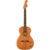 Fender Highway Series Parlor RW All-Mahogany elektrisch-akoestische westerngitaar met deluxe gigbag