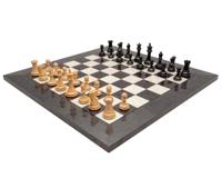 De Soevereine Ebbenhouten en Grijze Briarwood Luxe Schaakset