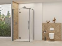 Nisdeur Van Rijn Products ST07 Voor Hoekcabine 140x200 cm 8 mm Helder Glas Incl. Beslag, Greep en Stabilisatiestang Geborsteld Gunmetal