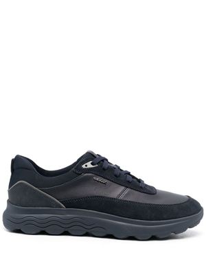 Geox baskets Spherica - Bleu