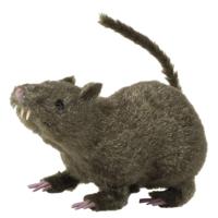 Halloween decoratie rat - bruin - 21 cm - horror/kerkhof - harig - horror themafeest