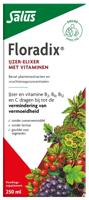 Floradix ijzer elixer 250 Milliliter