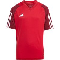 adidas Tiro 23 Competition Training Shirt Kids - Opruiming - Kleding - Red - maat 128