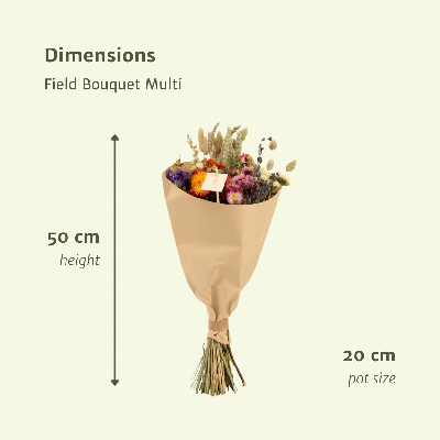 Droogbloemen Field Bouquet Multi - Ø20cm - ↕50cm