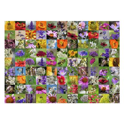 Ravensburger Legpuzzel 99 bijen, 1000st.