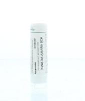 Homeoden Heel Ignatia amara 5CH 6 Gram