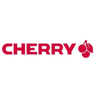 CHERRY DW 3000 toetsenbord Inclusief muis Universeel RF Draadloos QWERTZ Duits Zwart