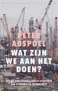 Wat zijn we aan het doen? (Paperback)