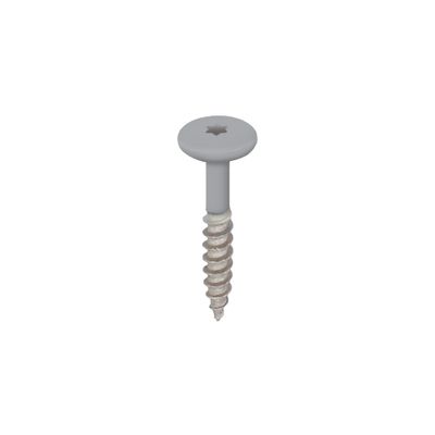Torx schroef RVS 32 mm 100st Grijs - Keralit (2890)
