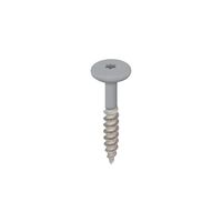 Torx schroef RVS 32 mm 100st Grijs - Keralit (2890)