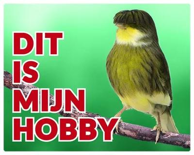 Gloster Kanarie Waakbord