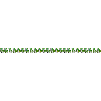 Green Tea - Biologisch & Fairtrade - 24 x Tea of Life - 25 theezakjes