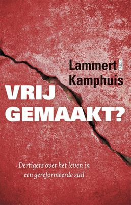 Vrijgemaakt? - Lammert Kamphuis - ebook