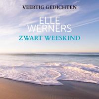 Zwart Weeskind - Elle Werners - Paperback (9789403712772) - thumbnail