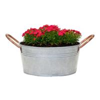 Plantenpot/bloempot teil Jean - voor buiten - zink - zilver - D27 X H13 cm