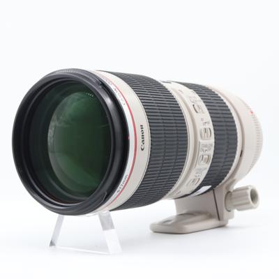 Canon EF 70-200mm F/2.8 L IS II USM occasion