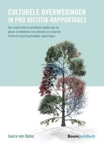 Culturele overwegingen in pro Justitia-rapportages (Paperback)